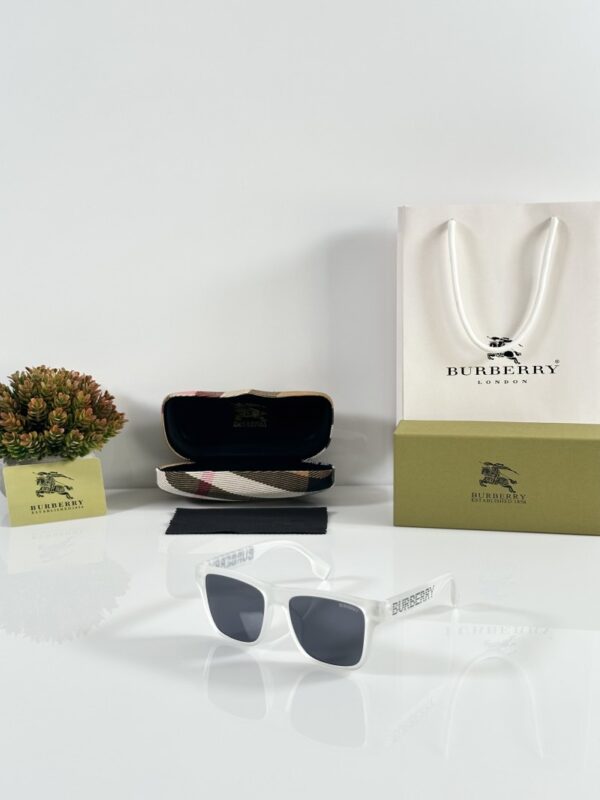 Burberry_4458_Ice_Black - Image 2