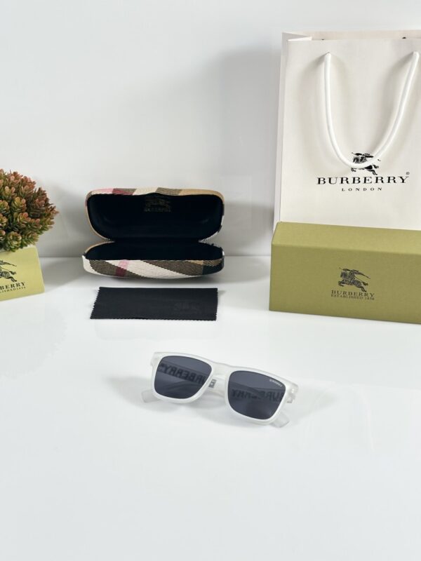 Burberry_4458_Ice_Black - Image 4