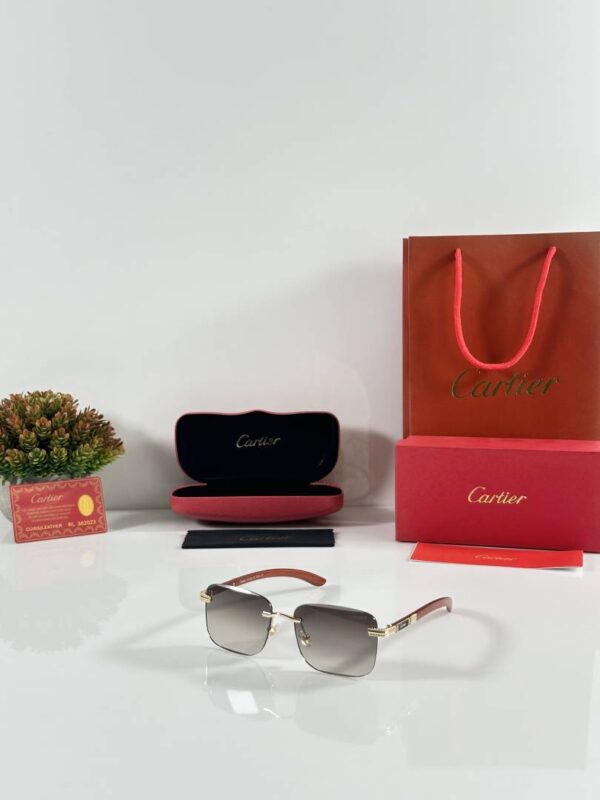 Cartier_3028_Gold_Brown_DC