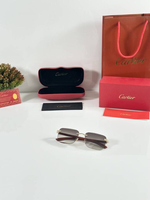 Cartier_3028_Gold_Brown_DC - Image 3