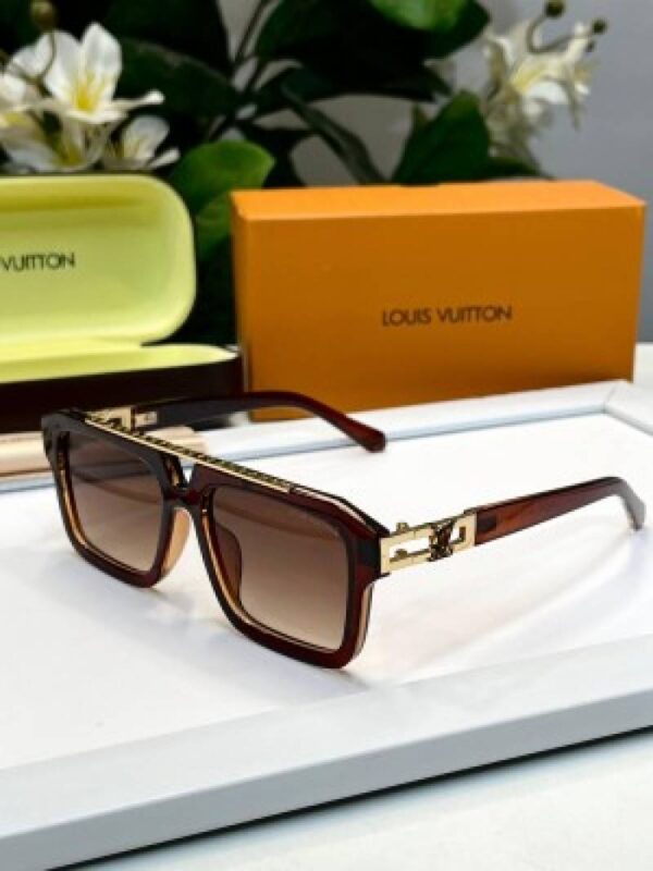 _Louis_vuitton_YH121_brown - Image 2