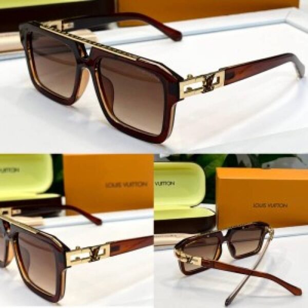 _Louis_vuitton_YH121_brown - Image 5