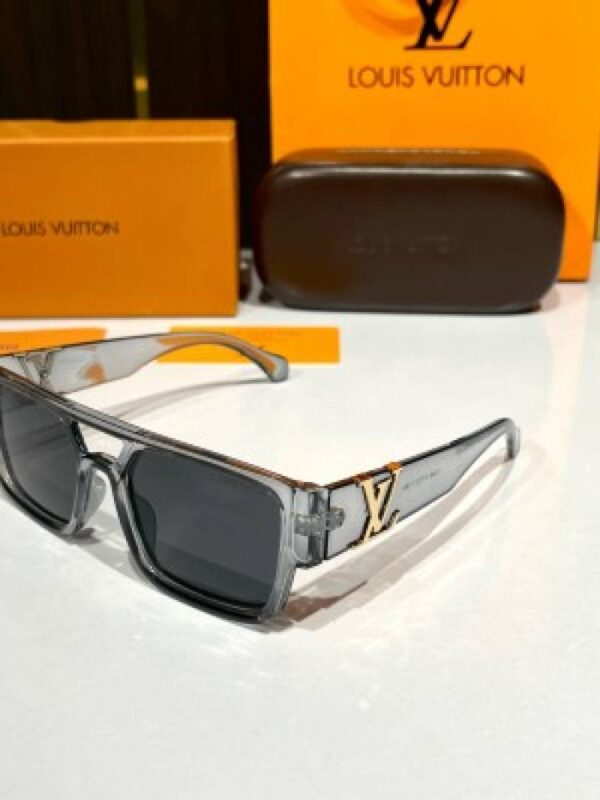 _Louis_vuitton_3346_grey - Image 5