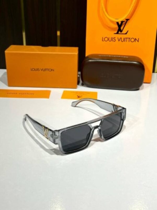 _Louis_vuitton_3346_grey - Image 2